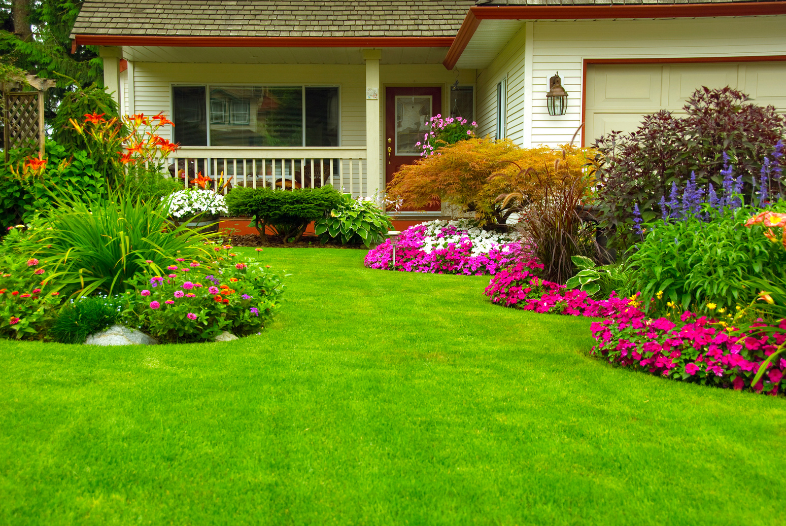 Manicured Yard